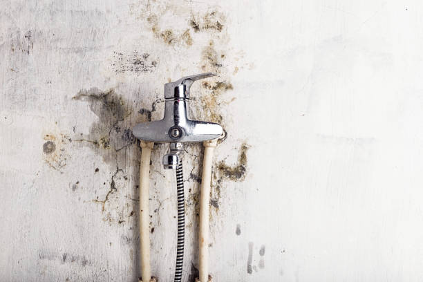 Best Mold Removal Near Me  in Coffeyville, KS