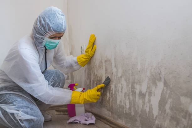 Best Mold Removal Process  in Coffeyville, KS