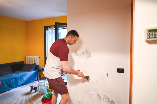 Best Home Mold Removal  in Coffeyville, KS
