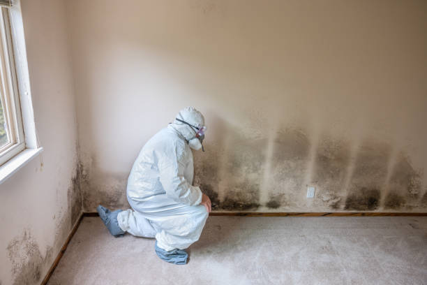 Best Certified Mold Removal  in Coffeyville, KS