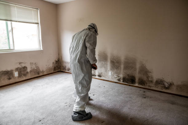 Water Damage Restoration in Coffeyville, KS
